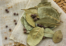 Какие болезни лечит лавровый лист?