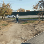 Стёжки-дорожки