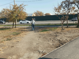 Стёжки-дорожки