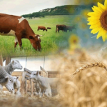 Перенесены сроки проведения сельскохозяйственной переписи