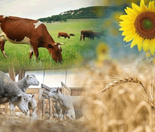 Перенесены сроки проведения сельскохозяйственной переписи