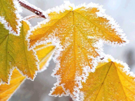 Ноябрь зиму в гости приглашает