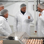 Мяса птицы станет больше