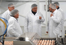 Мяса птицы станет больше