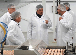 Мяса птицы станет больше