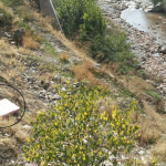 Совсем не сказка. Не кисельные берега, а матрасные