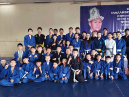 Пояса и страйпы за победы