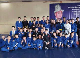 Пояса и страйпы за победы