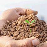 Здоровая земля для здоровья городов