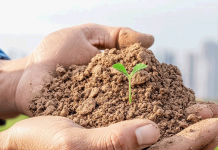 Здоровая земля для здоровья городов