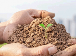 Здоровая земля для здоровья городов