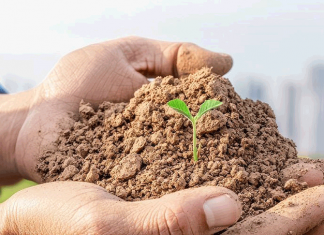 Здоровая земля для здоровья городов