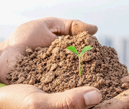 Здоровая земля для здоровья городов