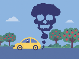 Кушайте смело яблочки наливные, выхлопными газами пропитанные