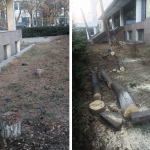 Вжик-вжик! И деревьев больше нет