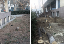 Вжик-вжик! И деревьев больше нет