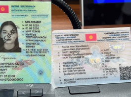 Каким будет водительское удостоверение образца 2025 года