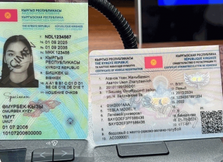 Каким будет водительское удостоверение образца 2025 года