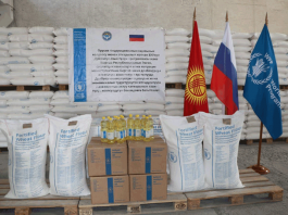 Россия доставила новую партию гумпомощи в Кыргызстан