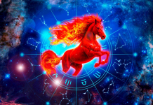 Что звёзды нас пророчат?