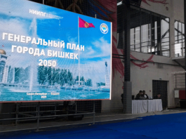 Не нужны нашим умным чиновникам советы зарубежных экспертов