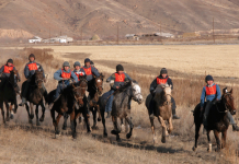 Кыргызстан – страна небесных коней
