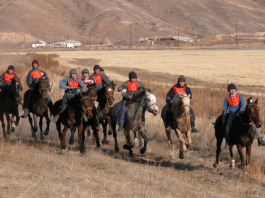 Кыргызстан – страна небесных коней