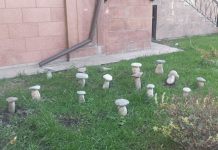 Каменные грибочки – символ будущего?