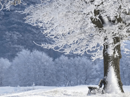 Месяц январь — зимы государь