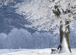 Месяц январь — зимы государь