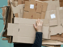 Введен временный запрет на вывоз бумаги и картона