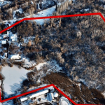 Государству возвращена земля в Карагачевой роще