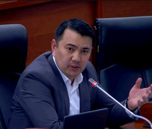 Марлен Маматалиев избран торага ЖК