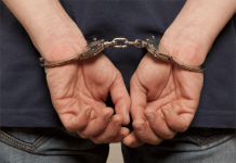 Арестованы и допрошены