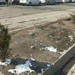 Ни берёзки, ни рябины, а опять туйки