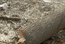 Когда откроют для проезда улицу Шопокова?