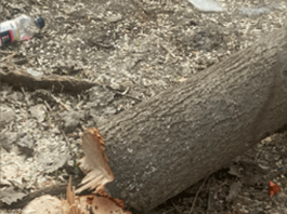 Когда откроют для проезда улицу Шопокова?