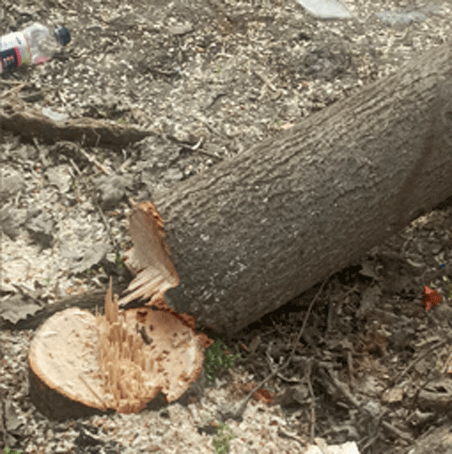 Когда откроют для проезда улицу Шопокова?