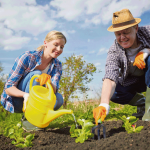 Сажать по Лунному календарю или по настроению?