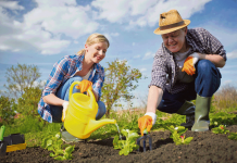 Сажать по Лунному календарю или по настроению?