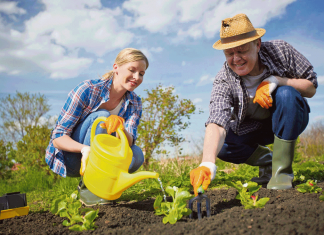 Сажать по Лунному календарю или по настроению?