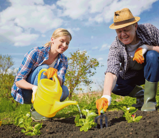 Сажать по Лунному календарю или по настроению?