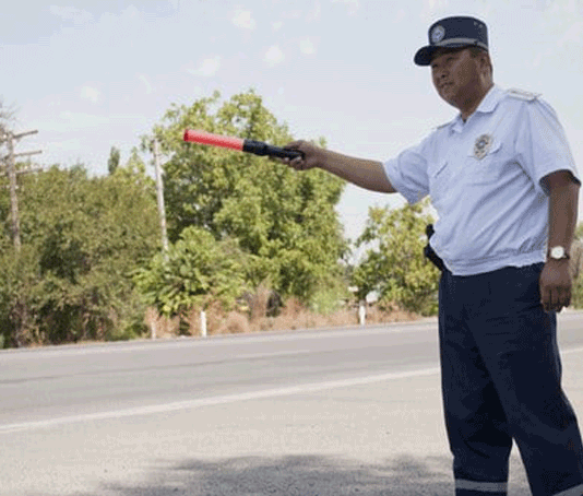Законопроект о проверке знаний ПДД на дорогах отозван