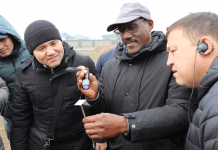 Кому достанется урожай? Фермерам или саранче?