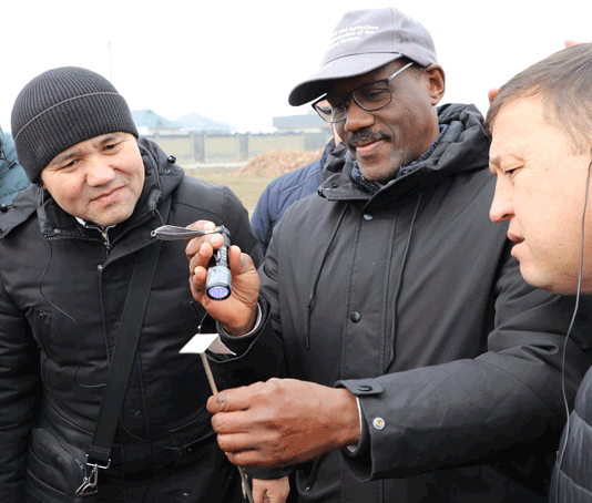 Кому достанется урожай? Фермерам или саранче?