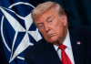 Трамп: НАТО — «бумажный тигр», и Путин это тоже знает