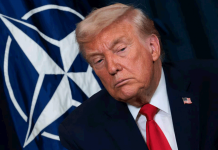 Трамп: НАТО — «бумажный тигр», и Путин это тоже знает