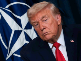 Трамп: НАТО — «бумажный тигр», и Путин это тоже знает