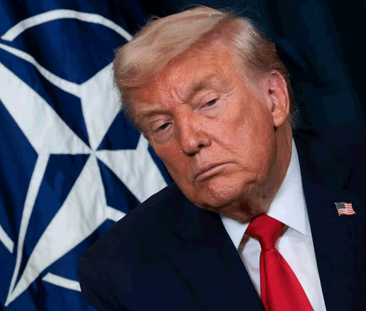 Трамп: НАТО — «бумажный тигр», и Путин это тоже знает