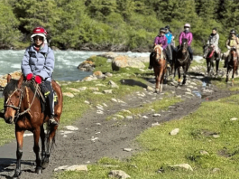 Вместо департамента создано Госагентство по развитию туризма